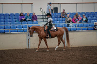 2019 Morgan Horse Show - Aug 30, 2019 - 25867