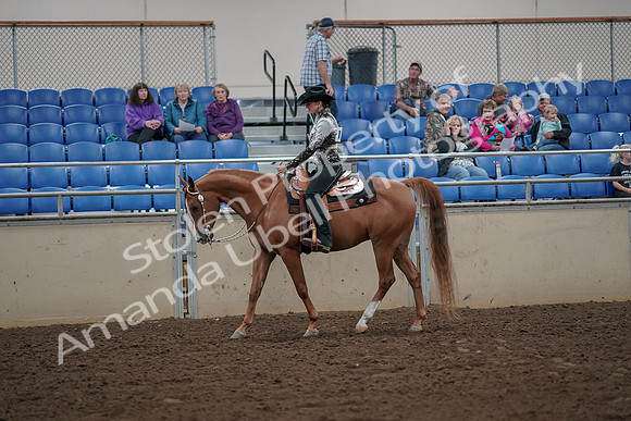 2019 Morgan Horse Show - Aug 30, 2019 - 25867