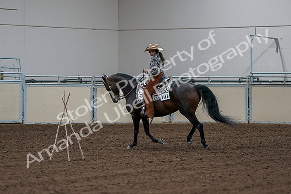 2020 - AB Morgan Horse - Fri, Sept 04 - 00339