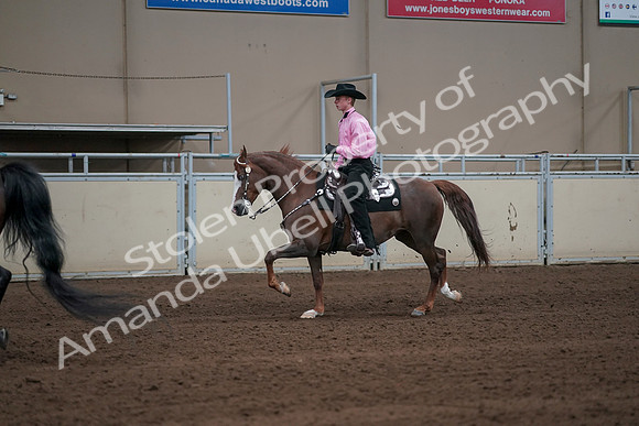 2019 Morgan Horse Show - Sept 01, 2019 - 06992