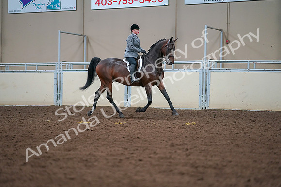 2019 Morgan Horse Show - Aug 30, 2019 - 20821