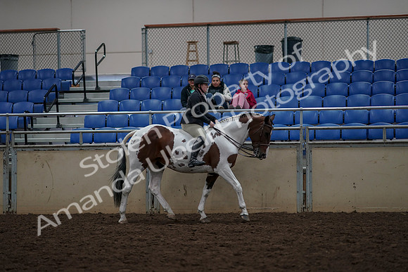 2019 Morgan Horse Show - Aug 30, 2019 - 31411