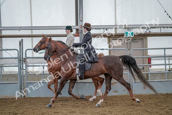 July 20, 2019 - 14599