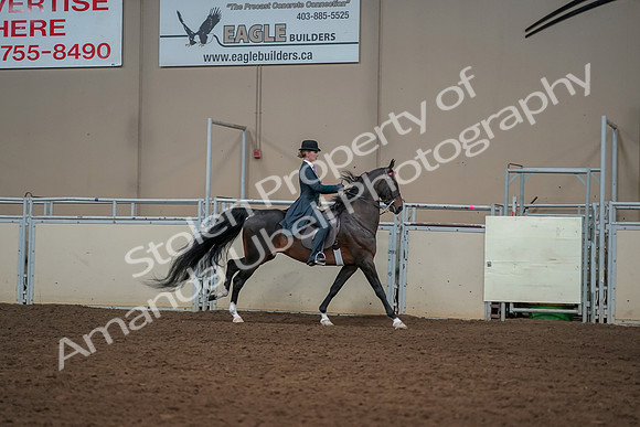 2019 Morgan Horse Show - Aug 30, 2019 - 25326