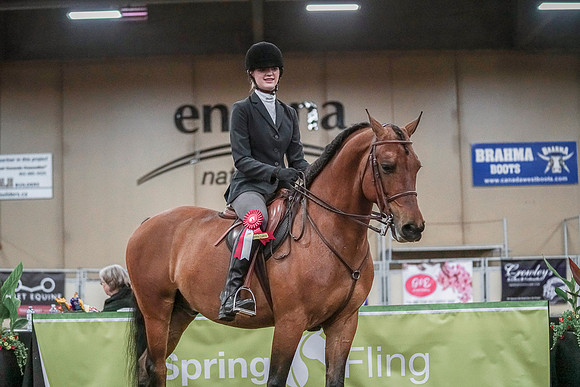 Spring Fling - Saturday - April 20, 2019  -  03860