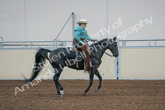 2020 - AB Morgan Horse - Fri, Sept 04 - 00607