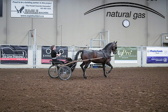 Spring Fling - Saturday - April 20, 2019  -  00334