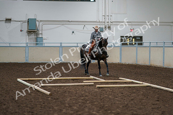 2020 - AB Morgan Horse - Fri, Sept 04 - 00364