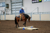 2020 - AB Morgan Horse - Fri, Sept 04 - 00229