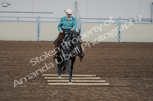 2020 - AB Morgan Horse - Fri, Sept 04 - 00519