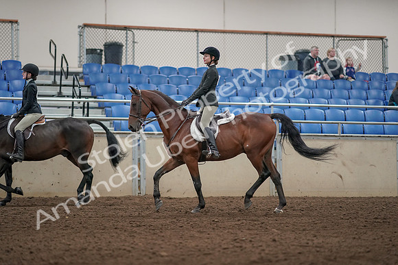 2019 Morgan Horse Show - Aug 31, 2019 - 04936
