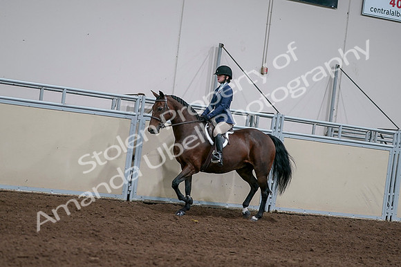 2020 - AB Morgan Horse - Fri, Sept 04 - 05917