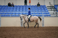 2020 - AB Morgan Horse - Fri, Sept 04 - 10345