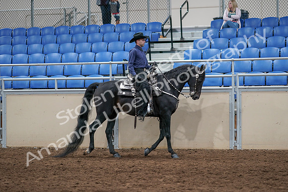 2020 - AB Morgan Horse - Sun, Sept 06 - 07530