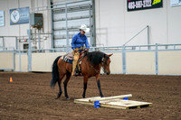 2020 - AB Morgan Horse - Fri, Sept 04 - 00227