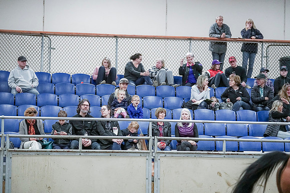 Spring Fling - Saturday - April 20, 2019  -  00827