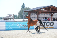 2024 - WCB - July 18 - 02858