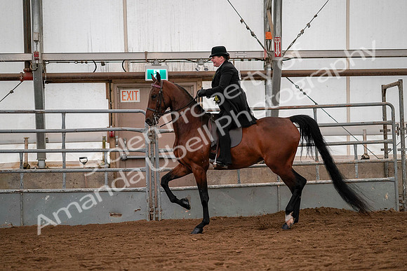 July 19, 2019 - 10288