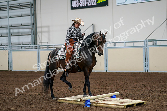 2020 - AB Morgan Horse - Fri, Sept 04 - 00314