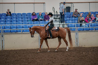 2019 Morgan Horse Show - Aug 30, 2019 - 25875