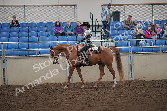2019 Morgan Horse Show - Aug 30, 2019 - 25875