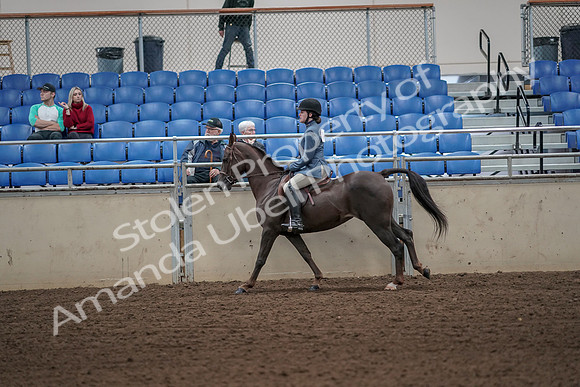 2019 Morgan Horse Show - Aug 31, 2019 - 05055