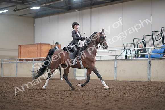 2019 Morgan Horse Show - Aug 31, 2019 - 08893