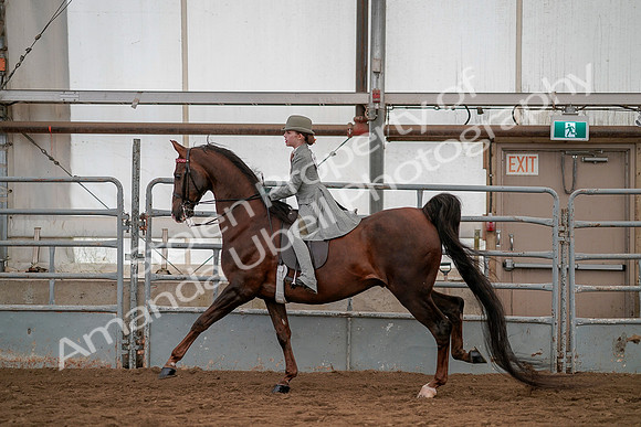 July 19, 2019 - 3881