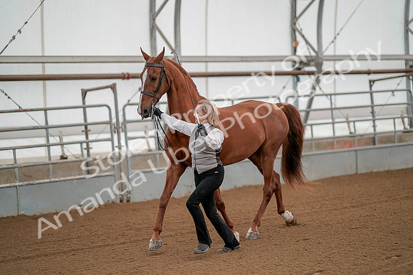 July 19, 2019 - 87