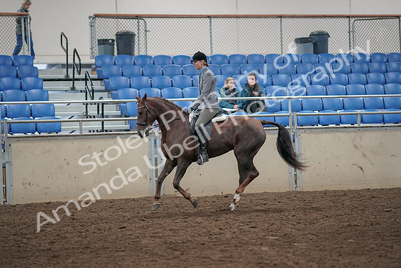 2019 Morgan Horse Show - Aug 31, 2019 - 07324