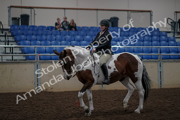 2019 Morgan Horse Show - Aug 30, 2019 - 31193