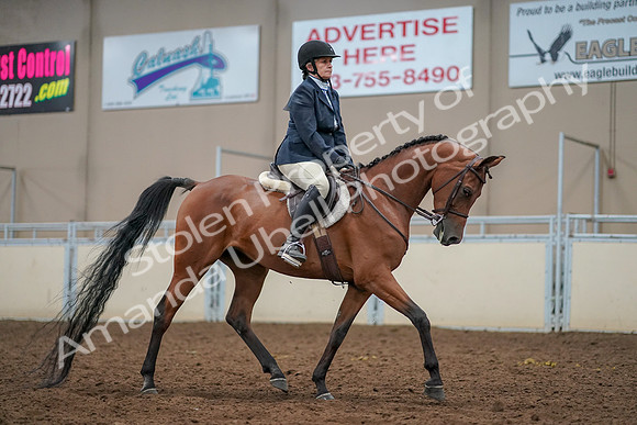 2019 Morgan Horse Show - Aug 30, 2019 - 22601
