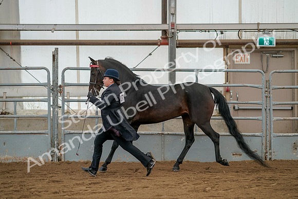 July 19, 2019 - 2083