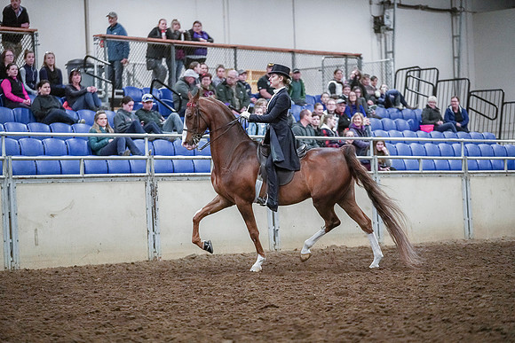 Spring Fling - Saturday - April 20, 2019  -  04085