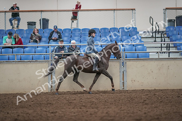 2019 Morgan Horse Show - Aug 31, 2019 - 07417