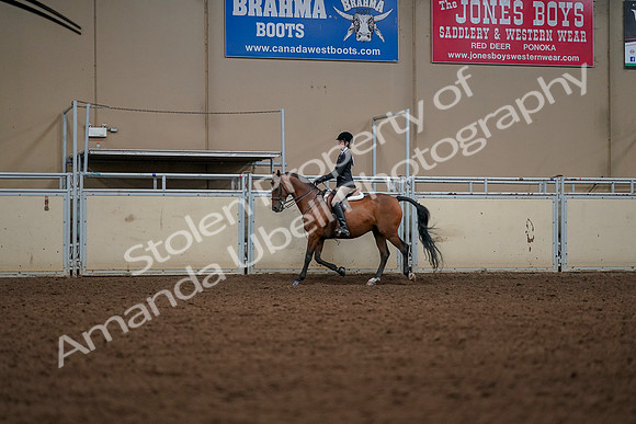 2019 Morgan Horse Show - Aug 30, 2019 - 23278