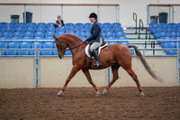 2019 Morgan Horse Show - Aug 30, 2019 - 16018