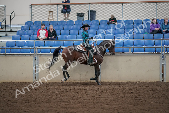 2019 Morgan Horse Show - Aug 30, 2019 - 26181