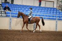 2020 - AB Morgan Horse - Fri, Sept 04 - 02959