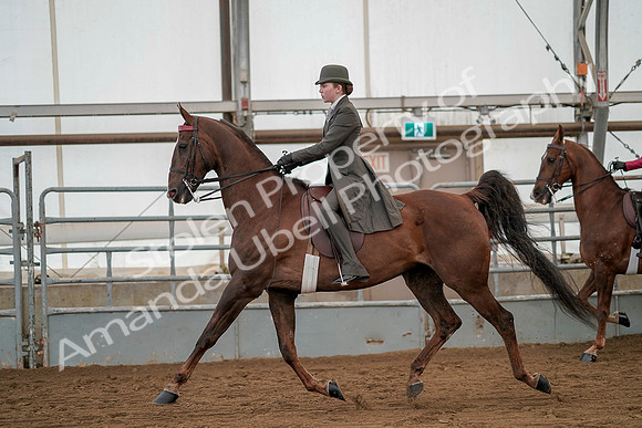 July 20, 2019 - 02225
