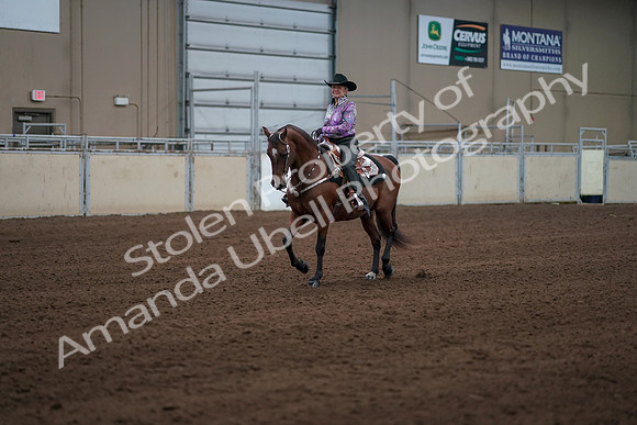 2019 Morgan Horse Show - Sept 01, 2019 - 07194