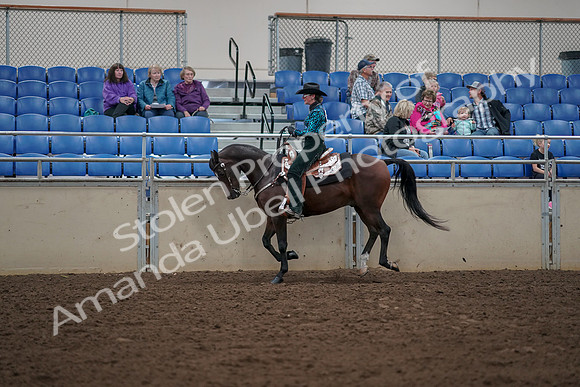 2019 Morgan Horse Show - Aug 30, 2019 - 26060