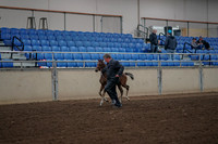 2019 Morgan Horse Show - Aug 31, 2019 - 00366