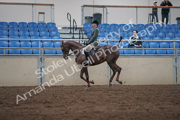 2019 Morgan Horse Show - Sept 01, 2019 - 08690