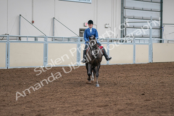 2020 - AB Morgan Horse - Sat, Sept 05 - 05241