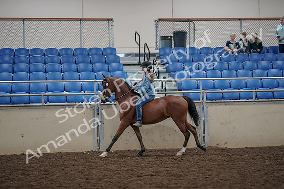 2019 Morgan Horse Show - Aug 30, 2019 - 31320