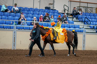 2020 - AB Morgan Horse - Sat, Sept 05 - 05765