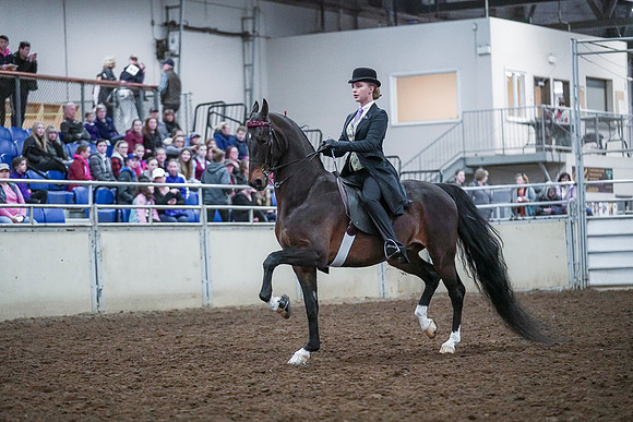 Spring Fling - Saturday - April 20, 2019  -  00430