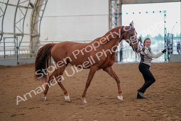 July 19, 2019 - 881