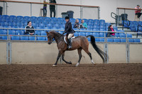2019 Morgan Horse Show - Sept 01, 2019 - 08506